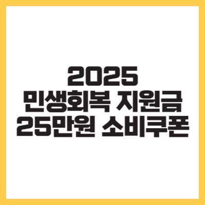 2025 민생회복 지원금 25만원 소비쿠폰