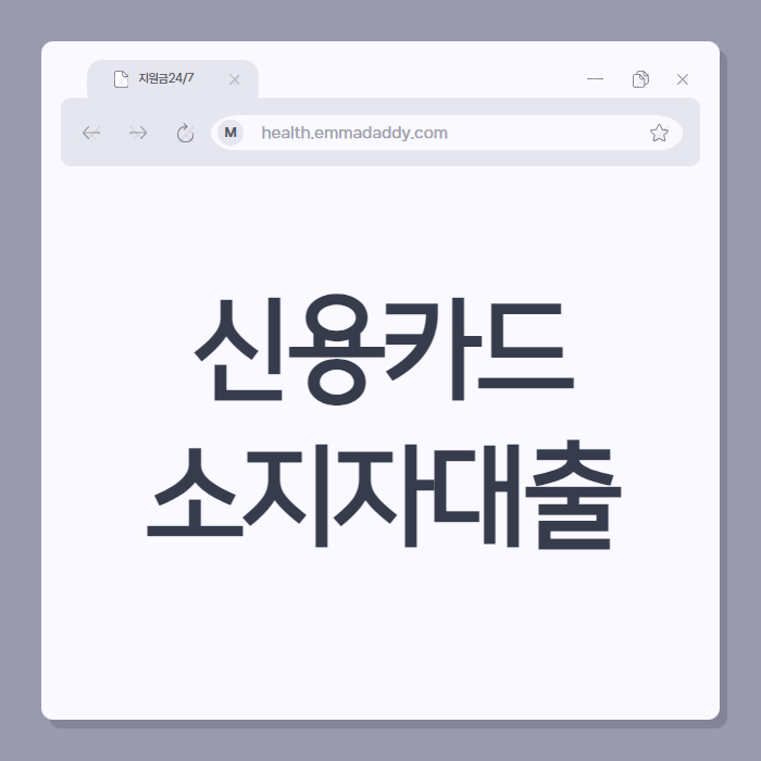 신용카드 소지자 대출 01