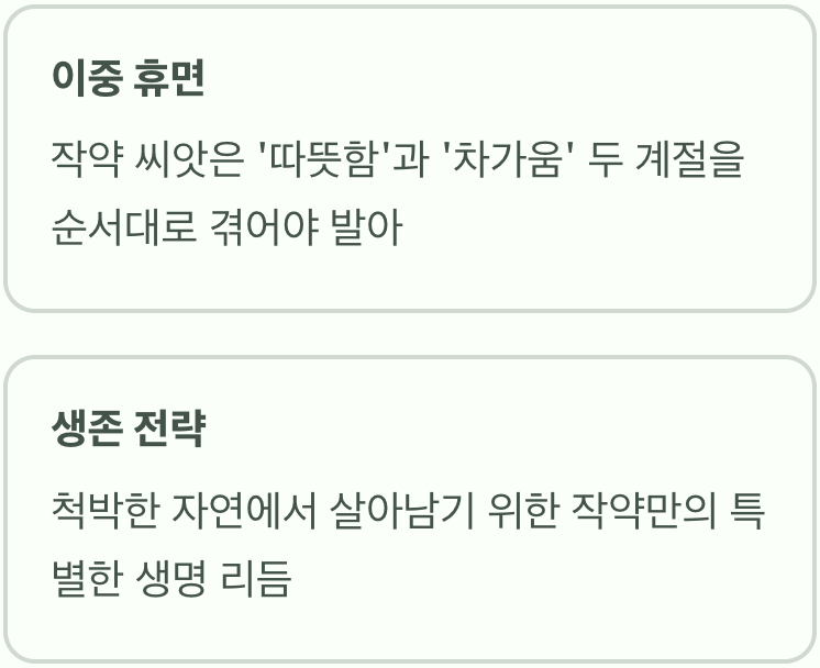 시작 전, 마음의 준비가 필요한 이유