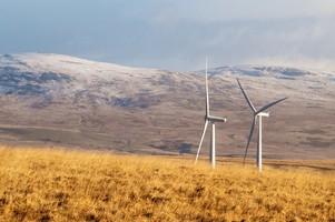 블랙아웃 시 생존