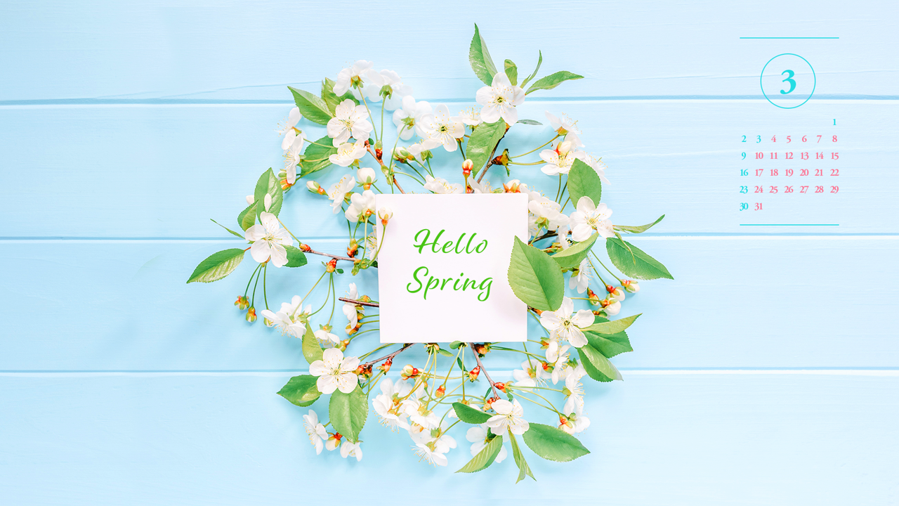 05 원형 벚꽃 장식 A - 2025년3월 노트북배경화면