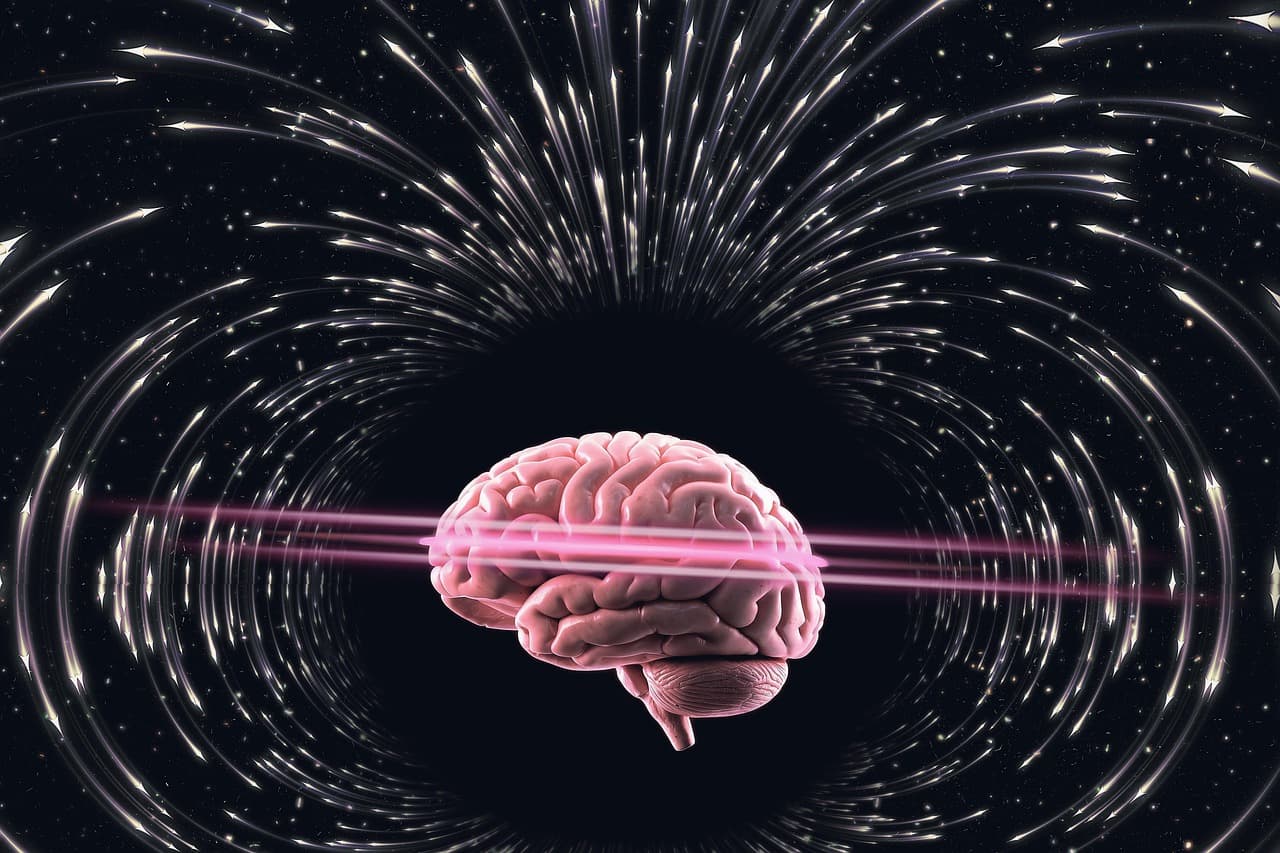 집중력은 왜 25분을 넘기기 힘들까? 뇌과학으로 보는 집중의 한계