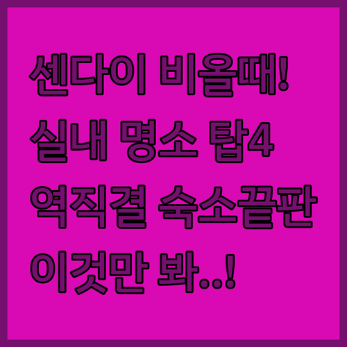 센다이 자유여행 비 올 때 가기 좋은..