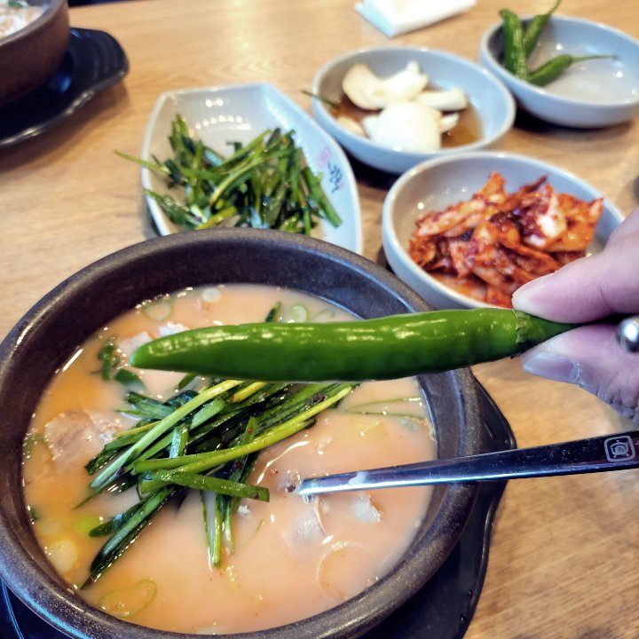 더 진국 기본 반관 과 매운고추