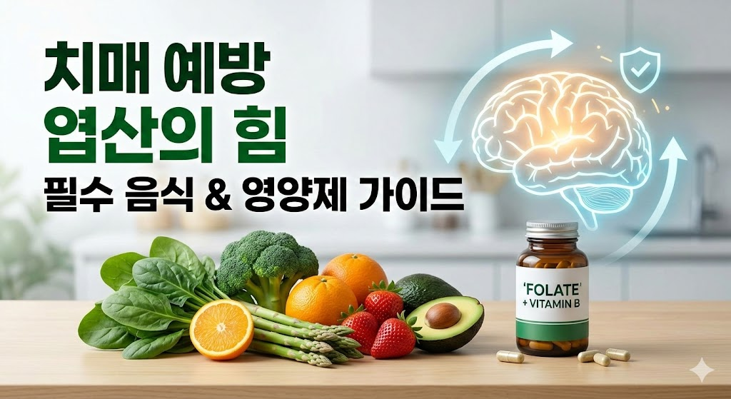 엽산 치매 예방 효능 및 권장 음식 및 영양제 가이드
