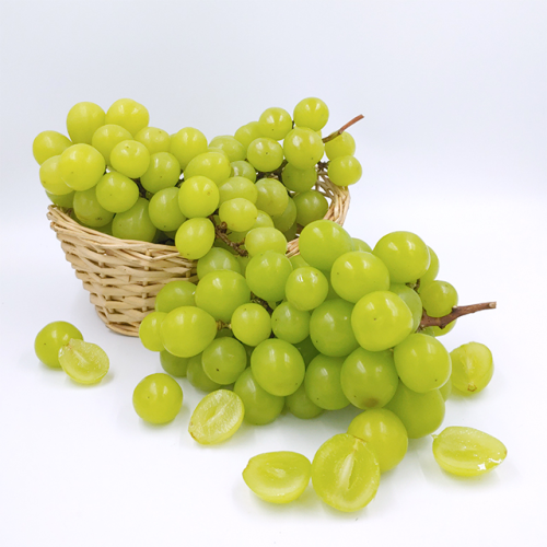 샤인머스켓 먹는 법