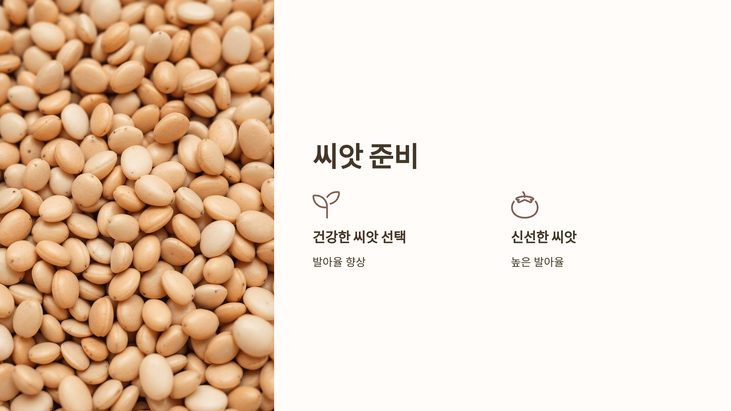 더덕 사진입니다.