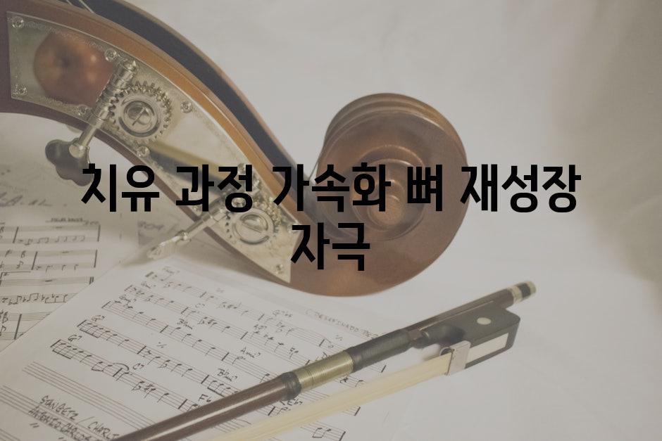 치유 과정 가속화 뼈 재성장 자극
