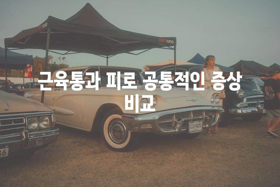 근육통과 피로 공통적인 증상 비교