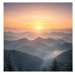 새해 인사말 이미지