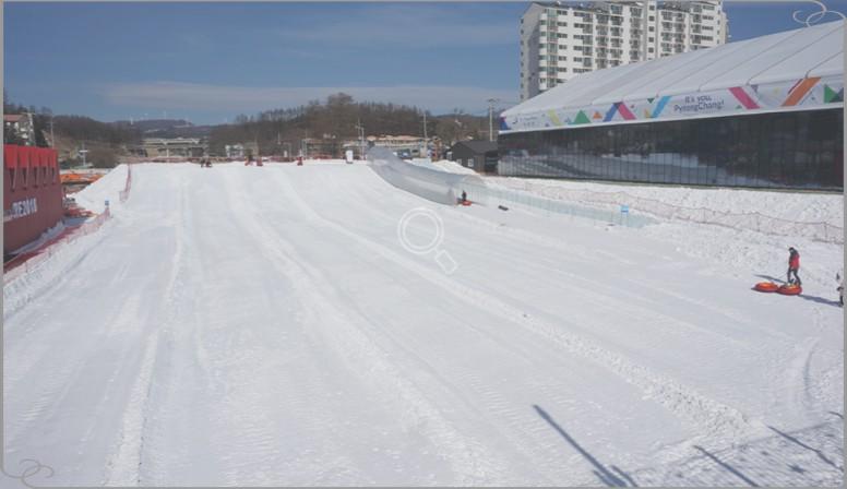 아이와 평창 여행! 대관령 눈꽃축제 입장료부터 양떼목장 연계 코스 총정리
