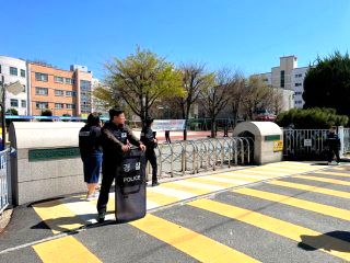 오월드 늑대 탈출 대전 시내 네거리서 목격