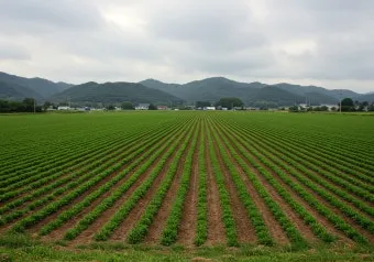 중부지방 들깨 파종시기 및 재배법 농사 팁 정리_14