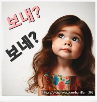 보내 보네 헷갈리는 맞춤법 올바른 표기 완벽 정리_6