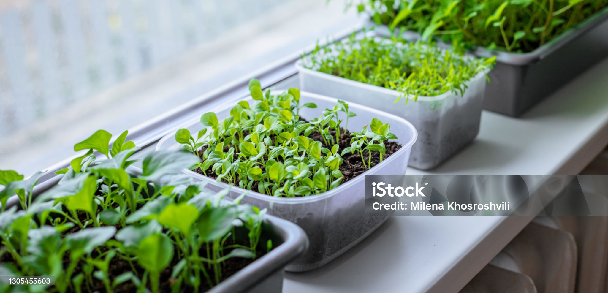 스마트팜 중급자