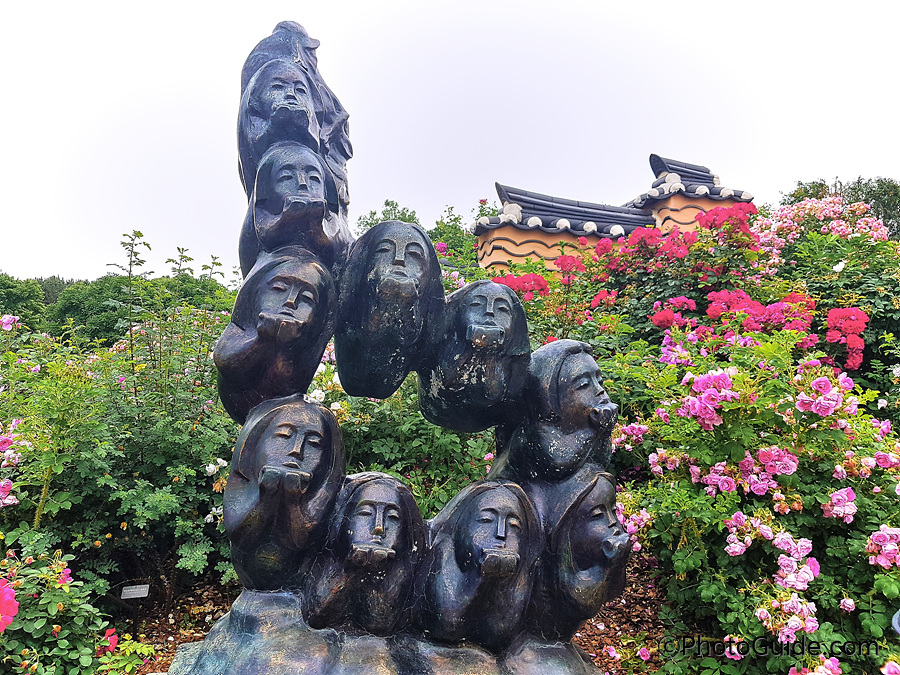 전주수목원장미