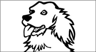 강아지가 크게 짖는꿈