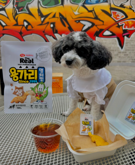 용가리가 사라졌다 팝업스토어 업체 제공 사진