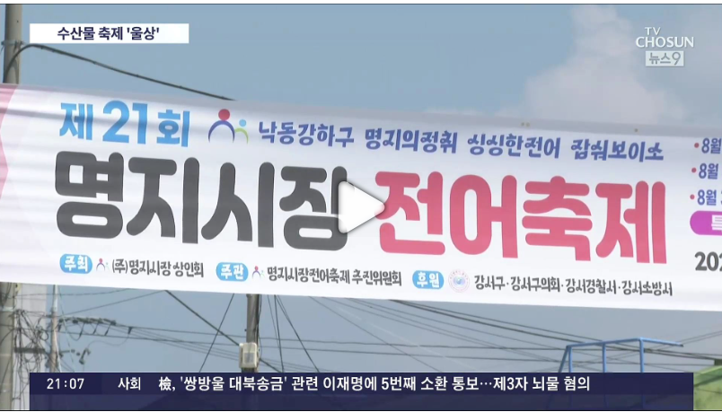 전국수산물축제일정