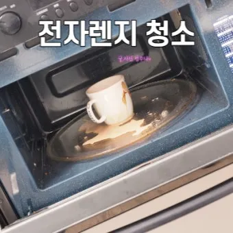 찌든 때부터 냄새까지 전자레인지 청소 레몬 식초로 간편하게 해결 완벽 관리_4