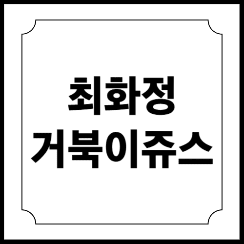 최화정 거북이쥬스