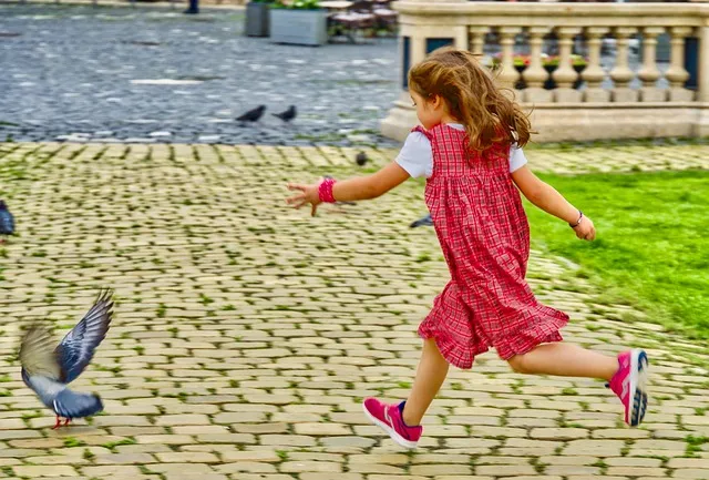 좇다 쫓다 맞춤법 맞는 표현 예문_7