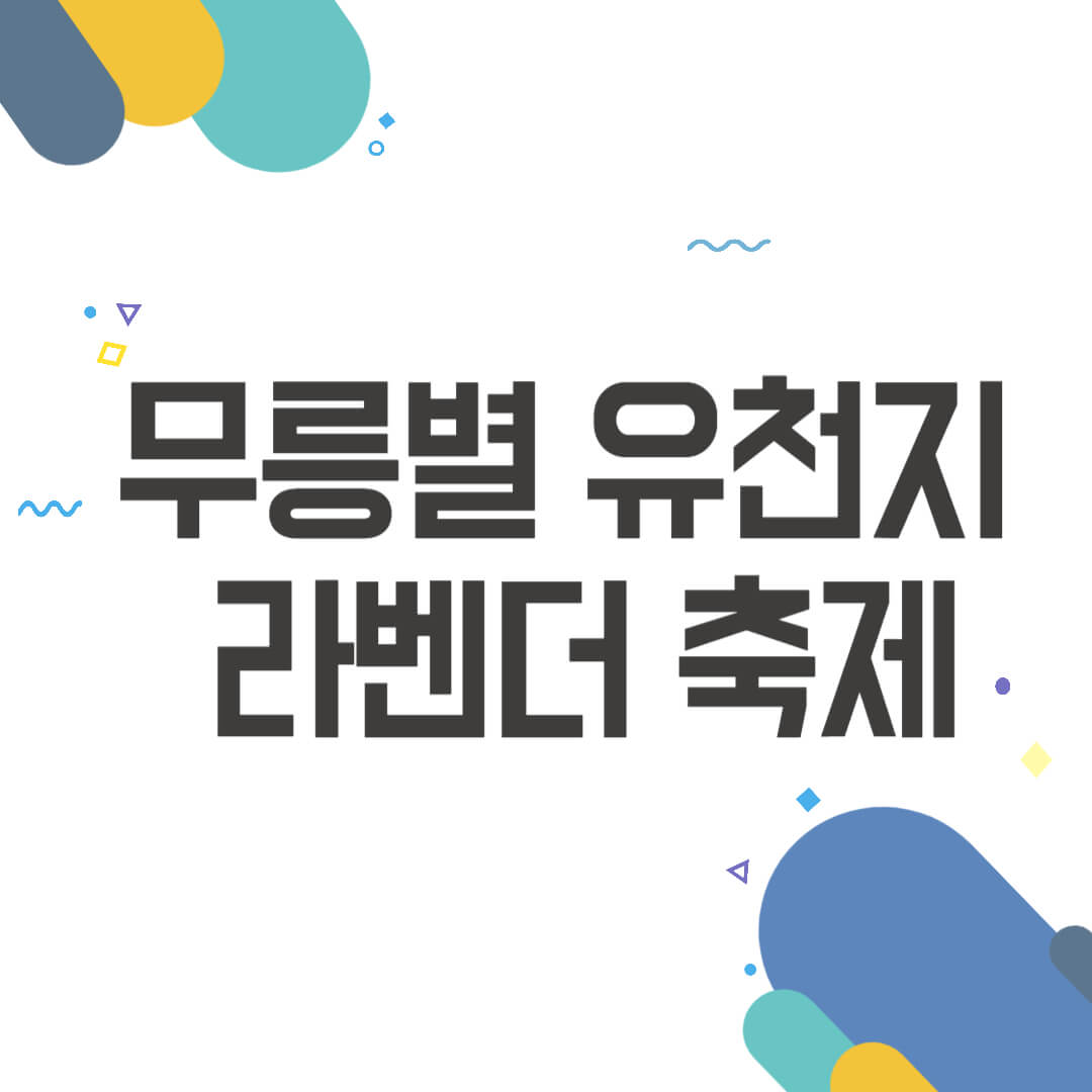 무릉별 유천지 라벤더축제