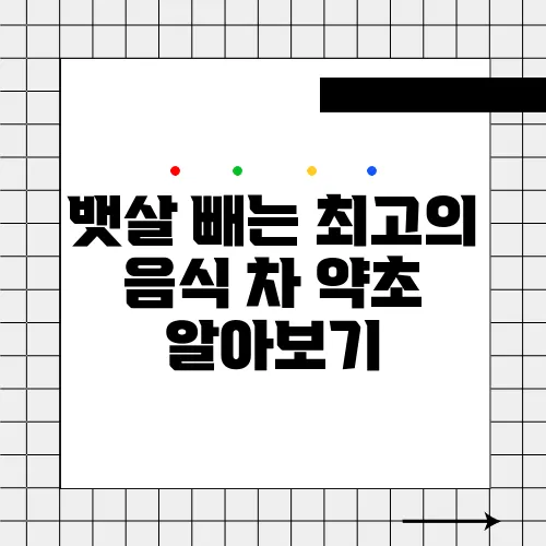 뱃살 빼는 최고의 음식 차 약초 알아보기