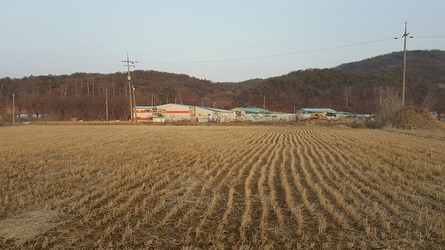 2025년 공익직불제 공익직불금