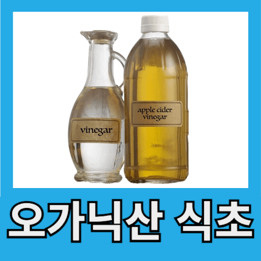 오가닉산 식초 효능알아보기 부작용 섭취방법 오가닉산 식초 가격