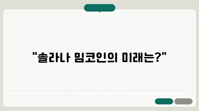 솔라나 코외 밈코인 전망 확인