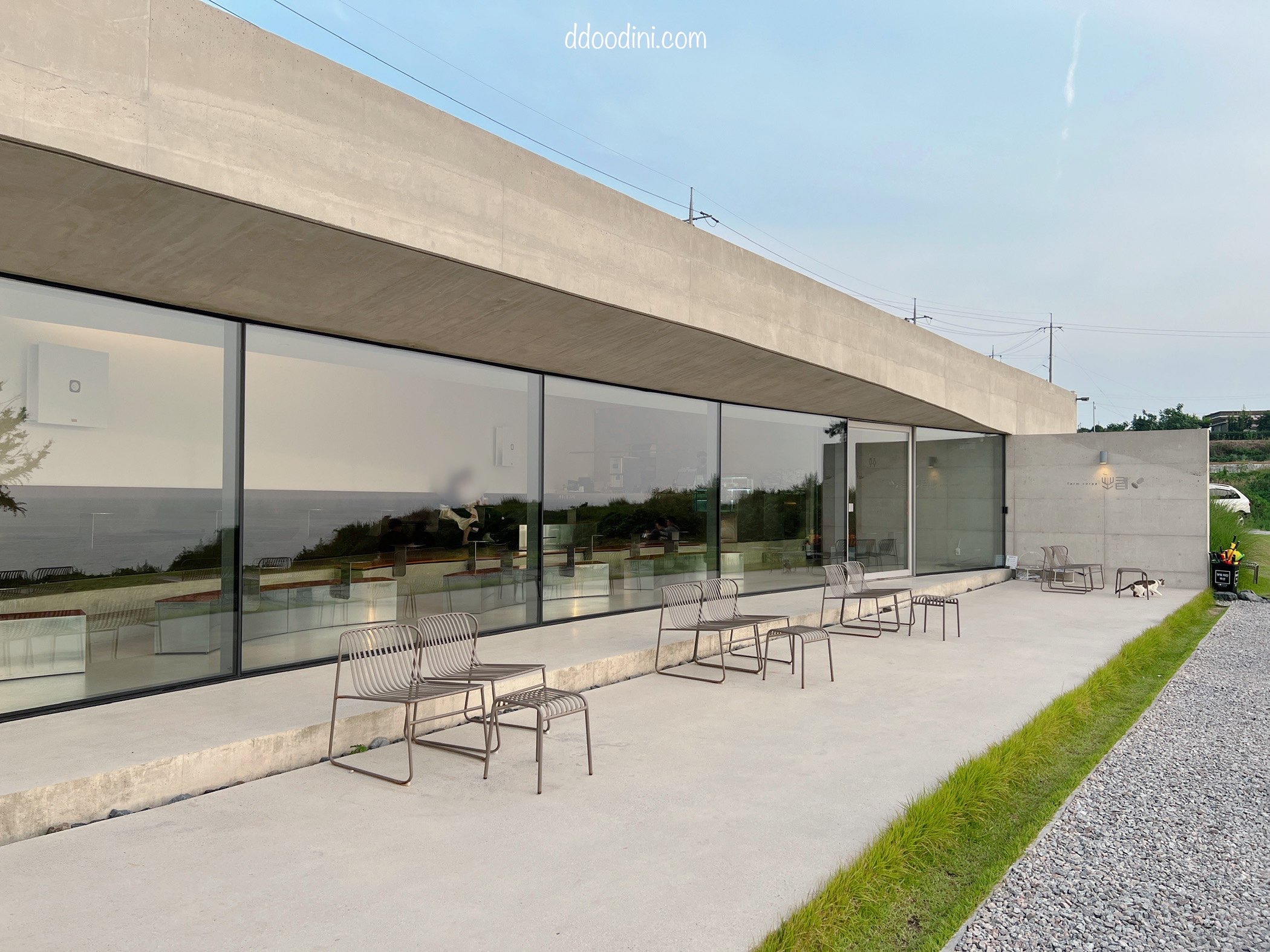 백수해안도로 보리