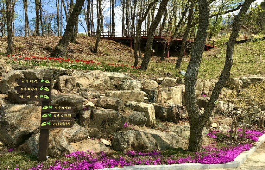 고대산자연휴양림