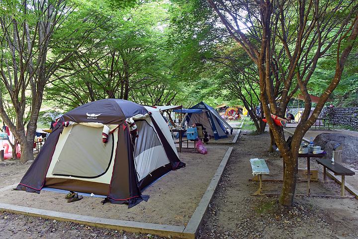 남원시 뱀사골 힐링야영장 소개