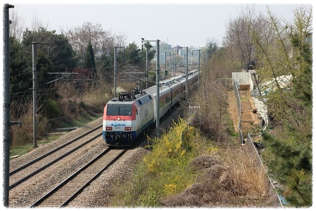 모바일 앱 회원가입