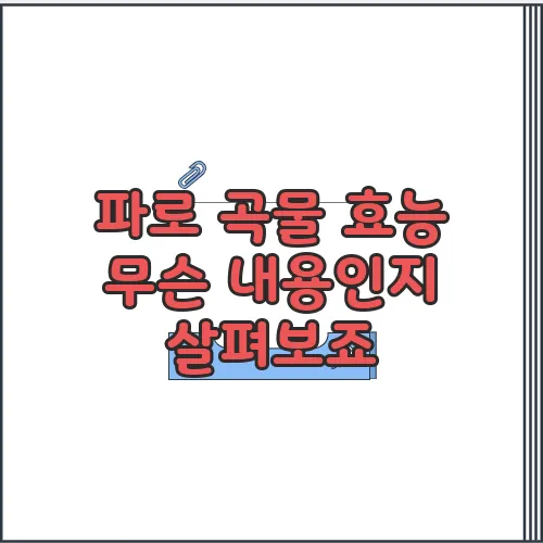 파로 곡물 효능 무슨 내용인지 살펴보죠
