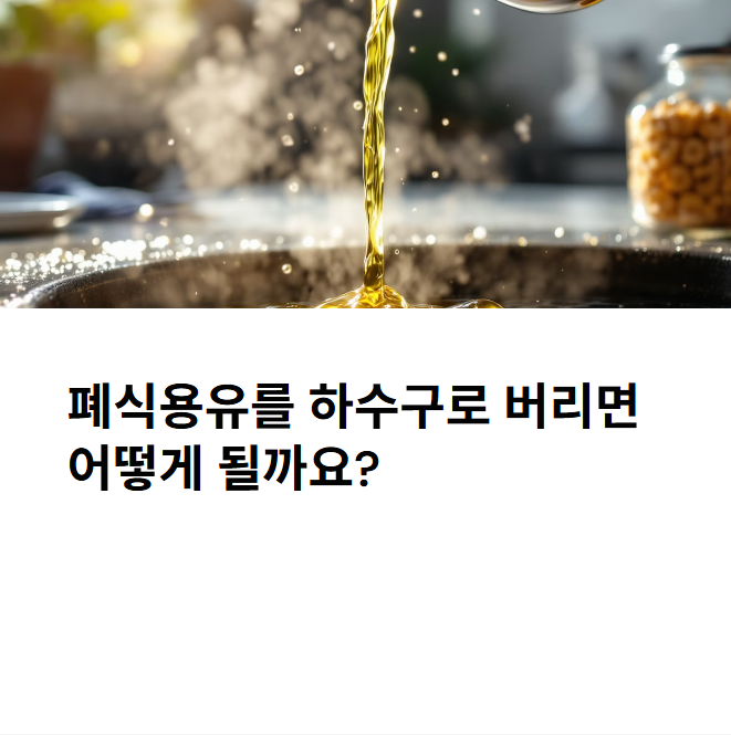 기후행동 기회소득 l 폐식용유를 하수구로 폐기? 이거 진짜 큰일 납니다