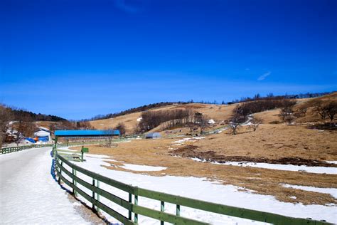 ๋๊ด๋ น ์๋ผ๋ชฉ์ฅ