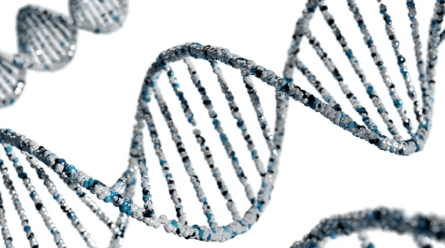 연준 3연속 금리 인하: 국내외 증시 전망 시나리오