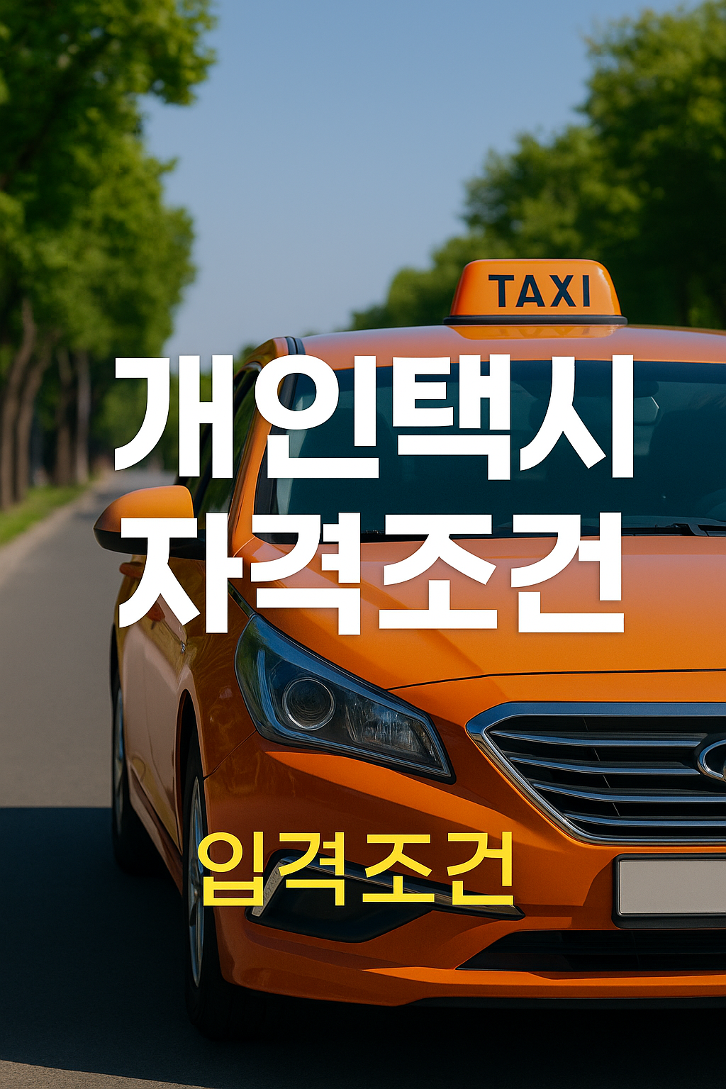 2025년 개인택시 자격조건 총정리