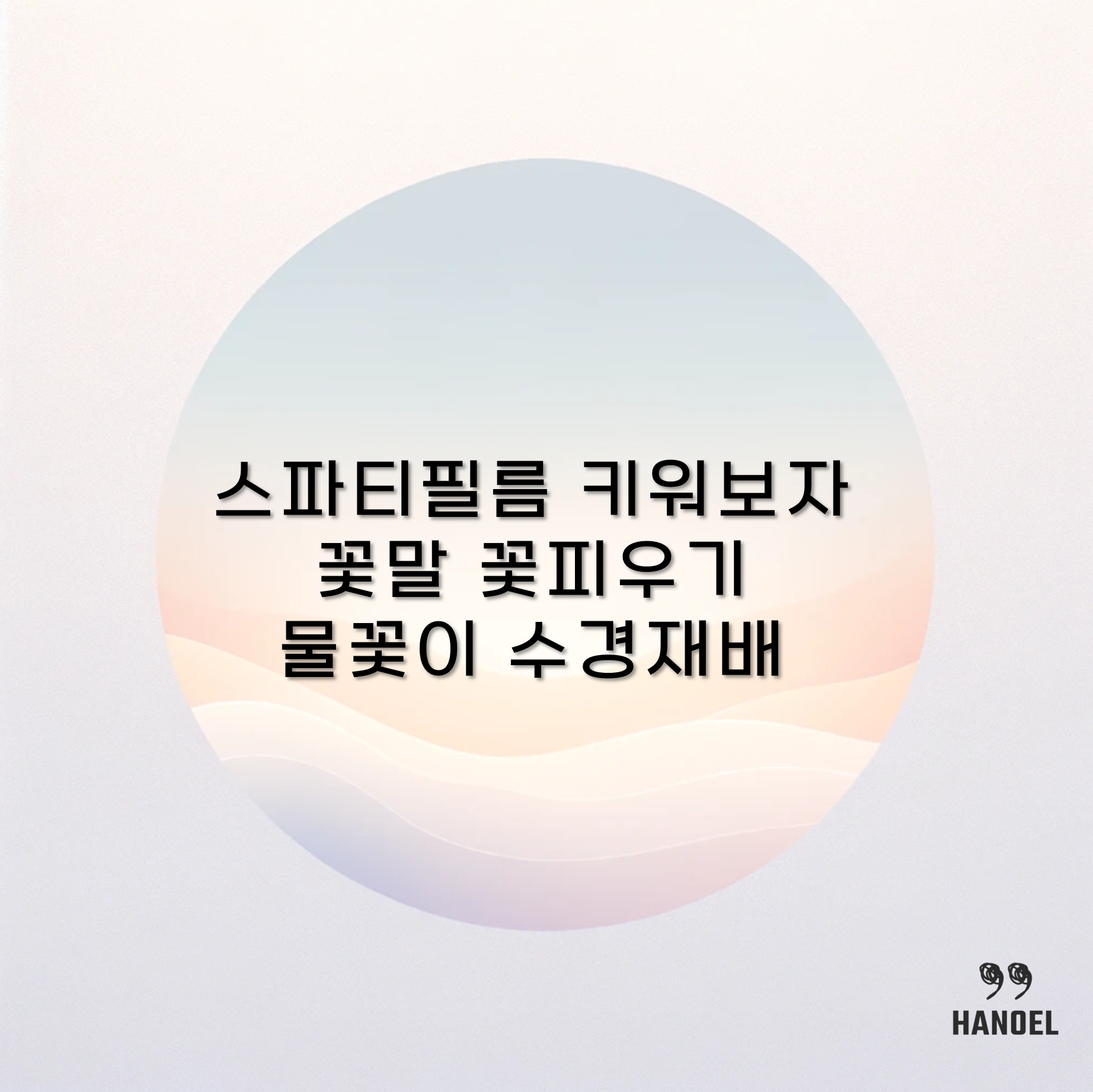 스파티필름 키워보자 꽃말 꽃피우기 물꽃이 수경재배