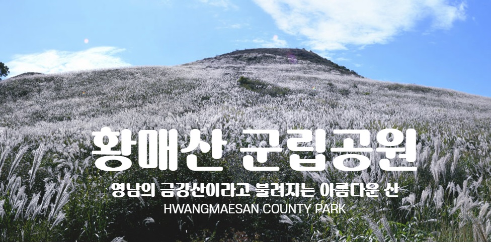 황매산 억새축제