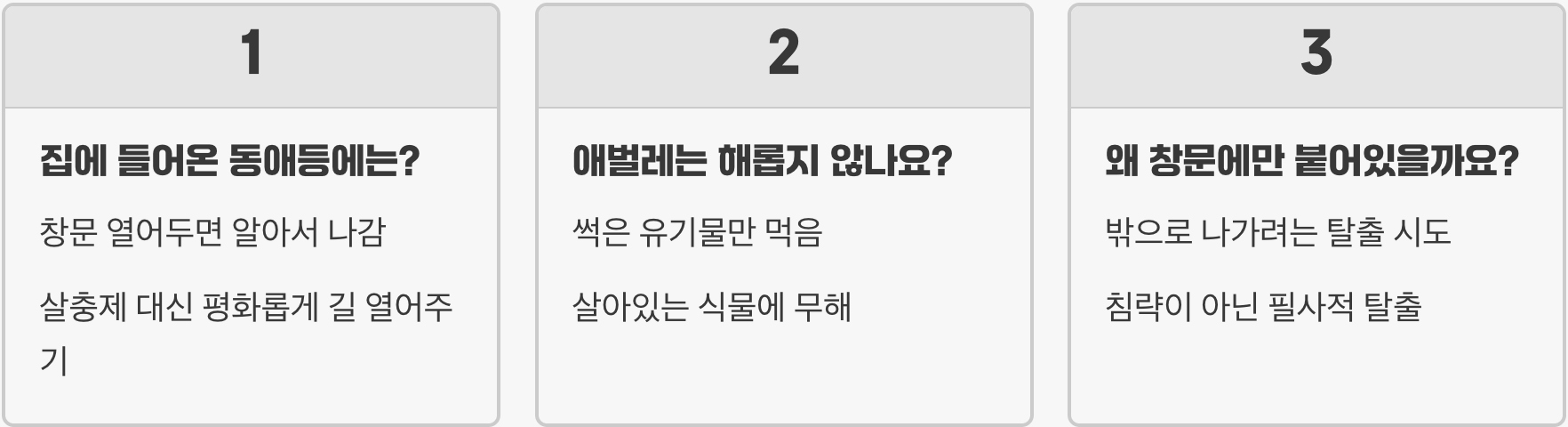 벌인 줄 알았죠? 동애등에 성충과 벌 1분 만에 완벽 구분하는 법