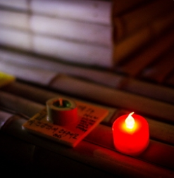 담양대나무축제 기본일정