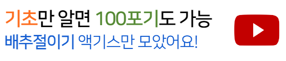 배추절이는꿀팁