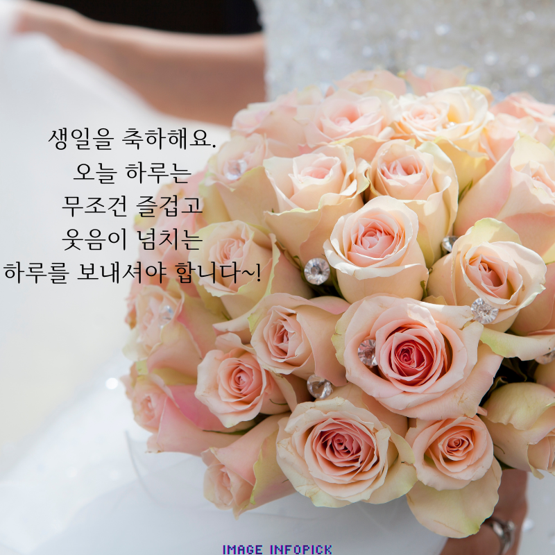 생일 축하 메세지 문구 이미지 모음 생일 축하 인사말 글귀