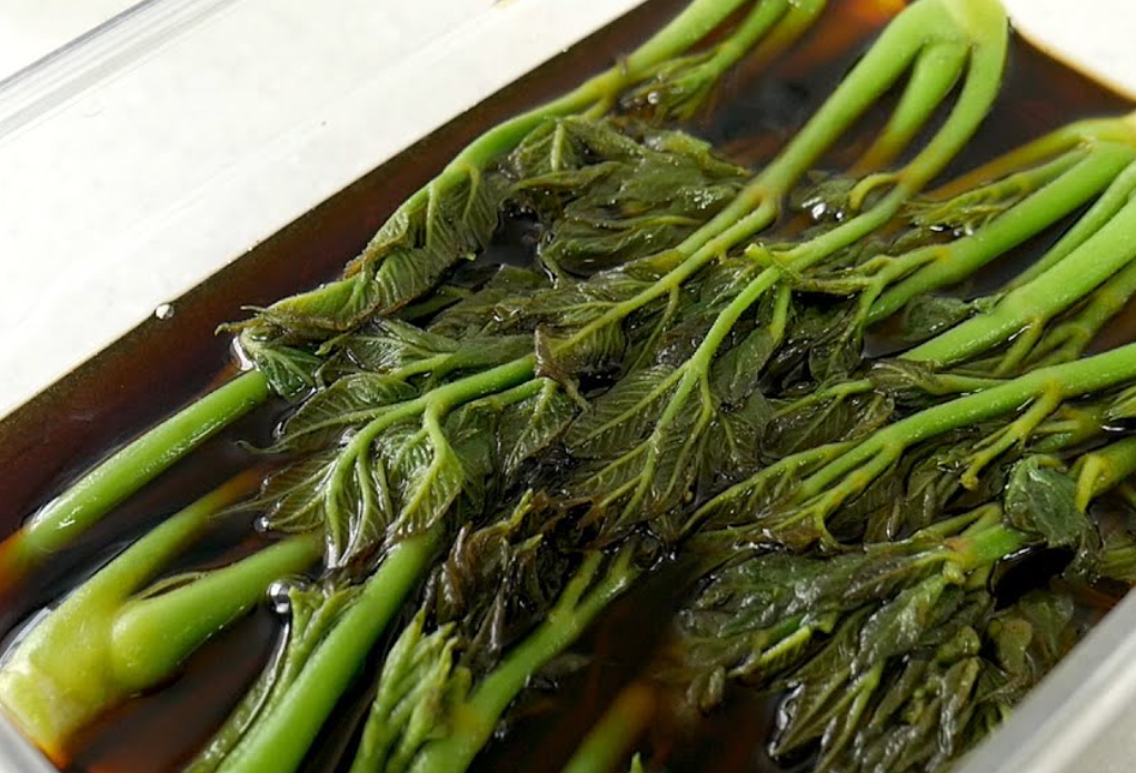 두릅 장아찌