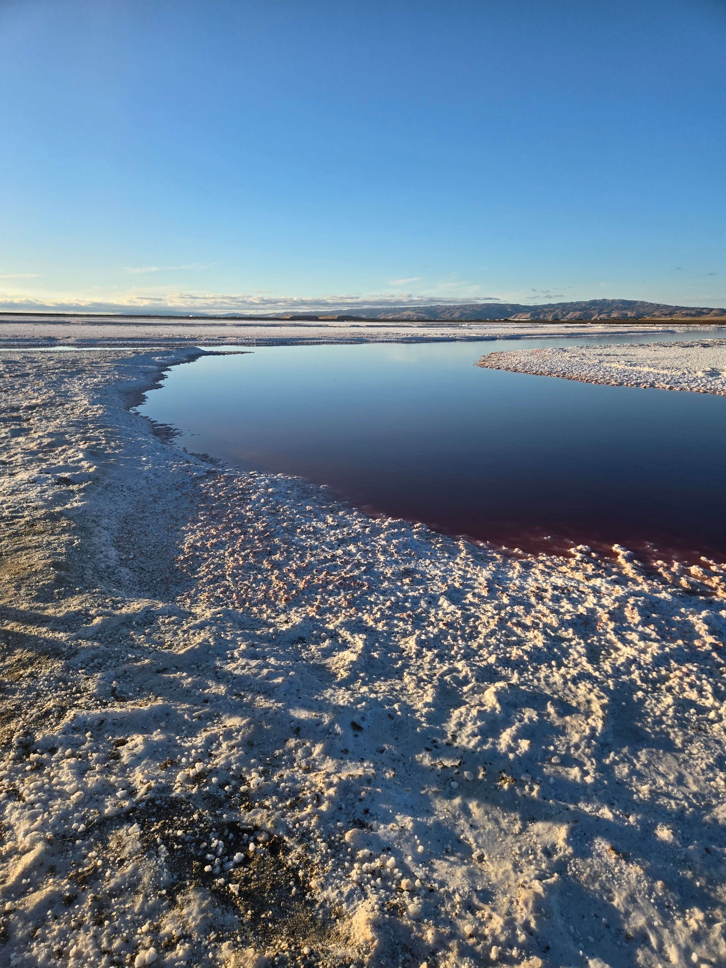 아이들과 함께 산호세 2주 살기(Our 2-Week Stay in San Jose) 관련사진