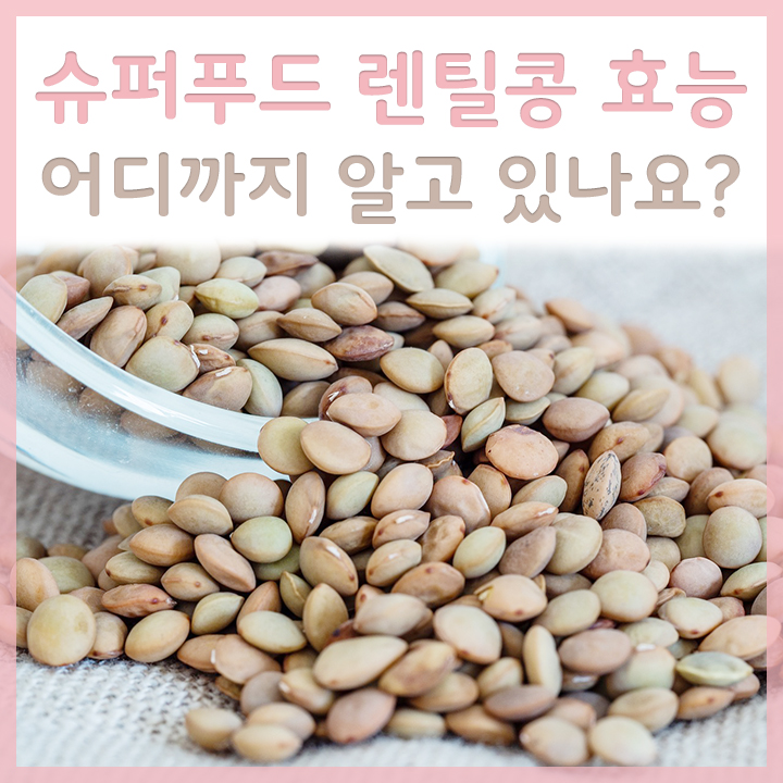 렌틸콩-외관