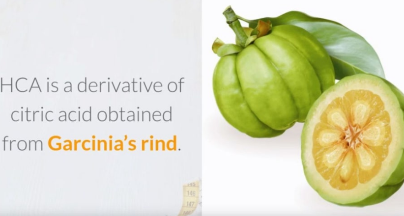 가르시니아 캄보지아 추출물